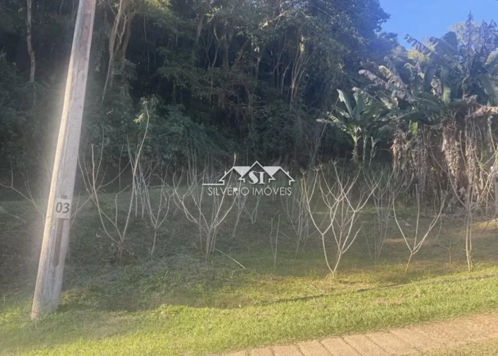 Terreno, 3 hectares - Foto 3