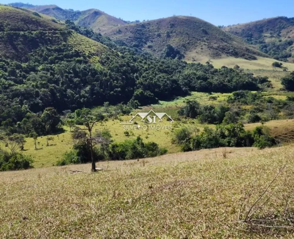 Fazenda-Sítio-Chácara, 460 hectares - Foto 7