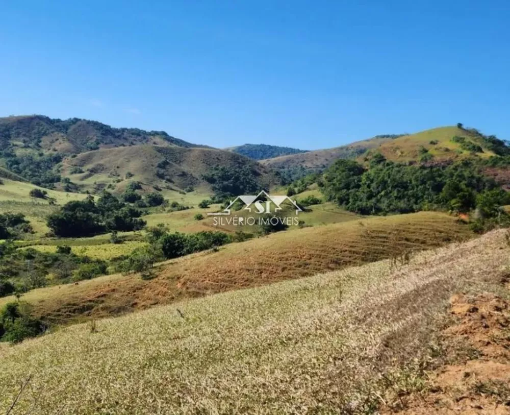 Fazenda-Sítio-Chácara, 460 hectares - Foto 14