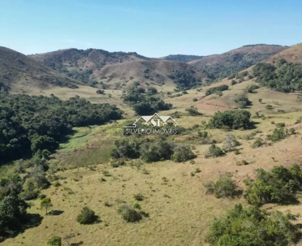Fazenda-Sítio-Chácara, 460 hectares - Foto 11