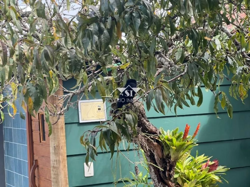 Casa, 3 quartos, 240 m² - Foto 13