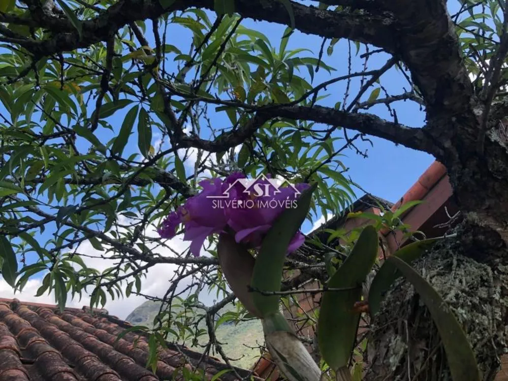 Casa, 3 quartos, 240 m² - Foto 12