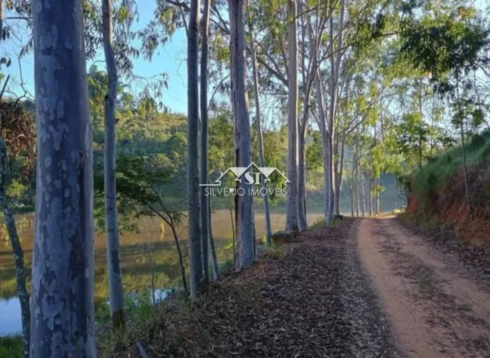 Fazenda, 68 hectares - Foto 6