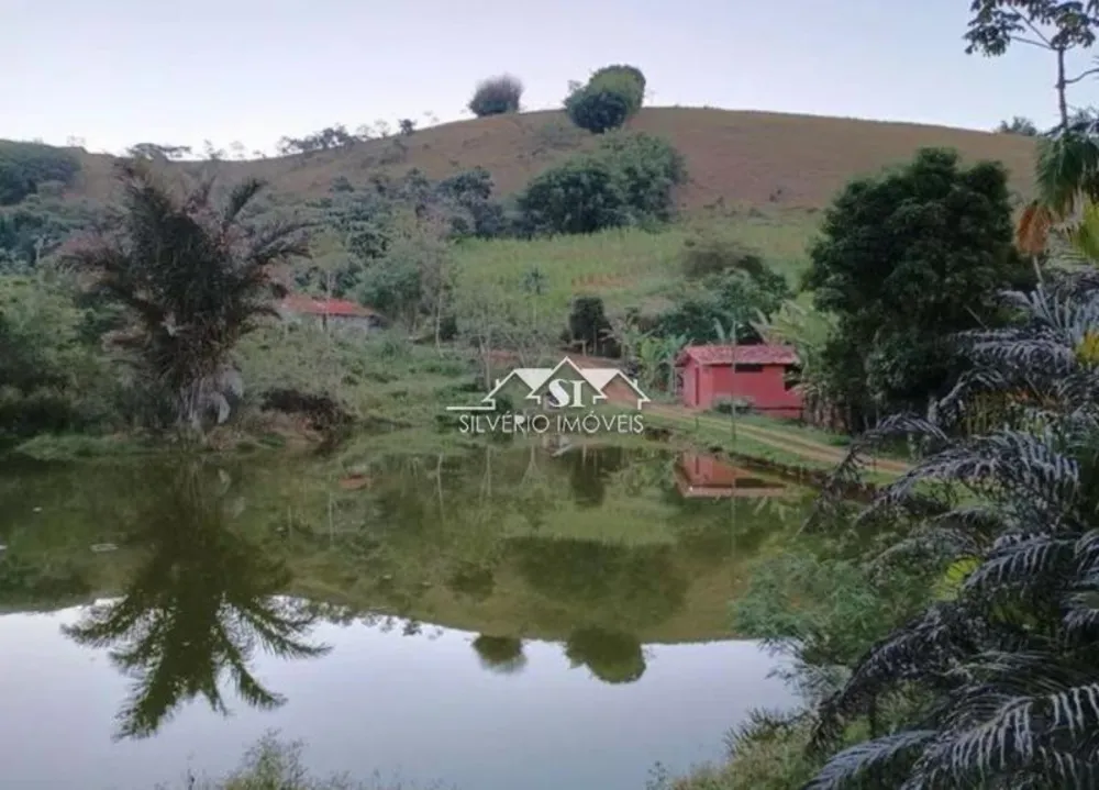 Fazenda, 68 hectares - Foto 7