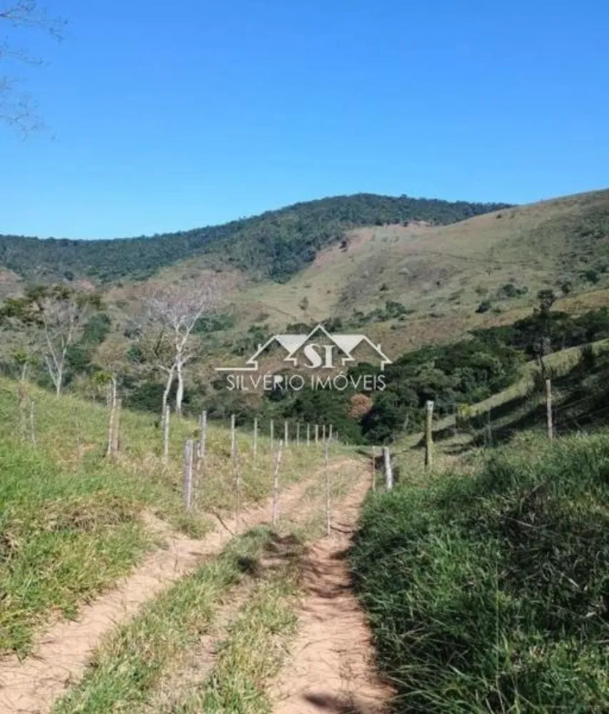 Fazenda, 68 hectares - Foto 8