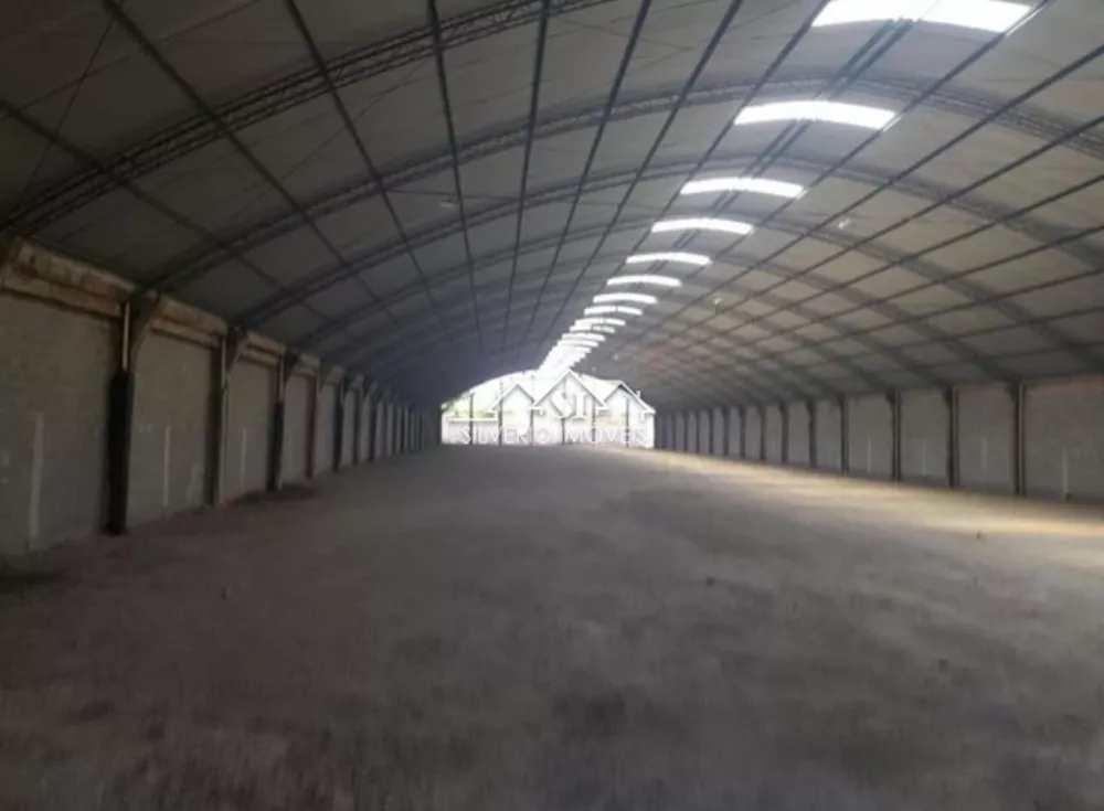 Depósito-Galpão, 3000 m² - Foto 5