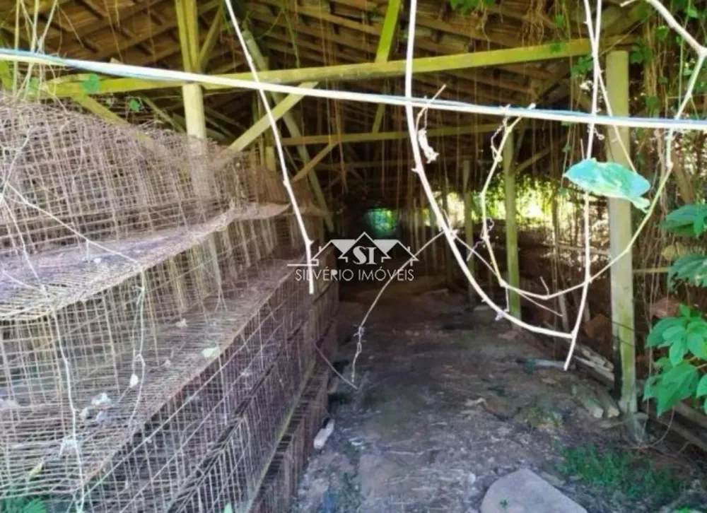 Sítio, 3 quartos, 2 hectares - Foto 6