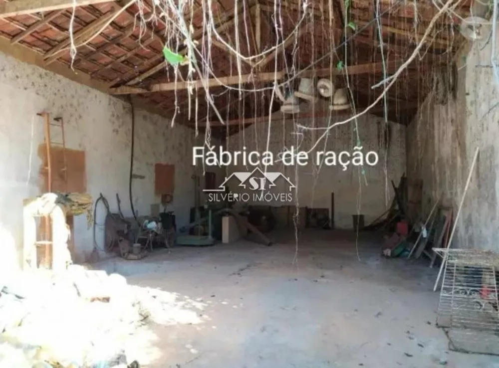 Sítio, 3 quartos, 2 hectares - Foto 11