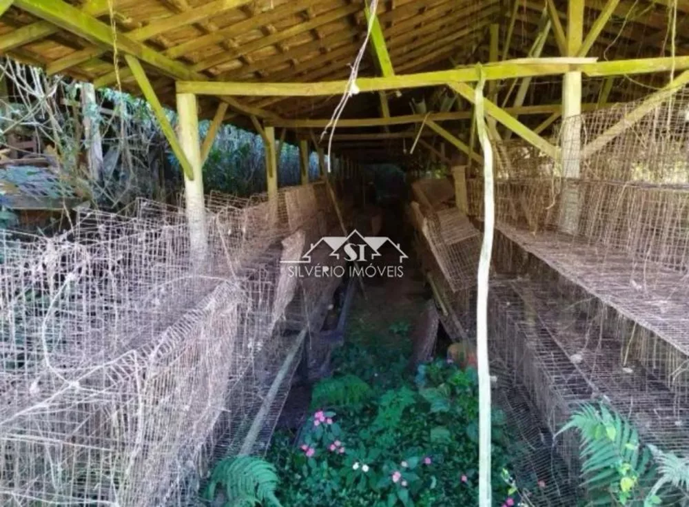 Sítio, 3 quartos, 2 hectares - Foto 4