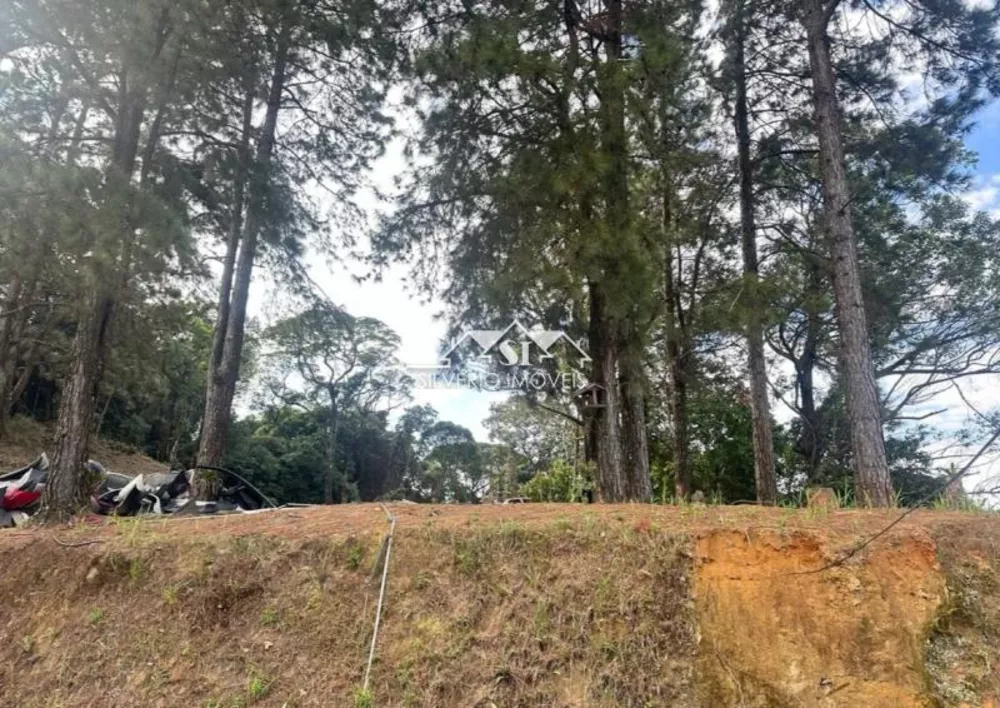 Casa, 4 quartos, 560 m² - Foto 3