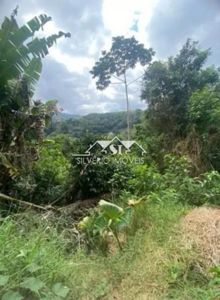 Terreno, 2 hectares - Foto 6