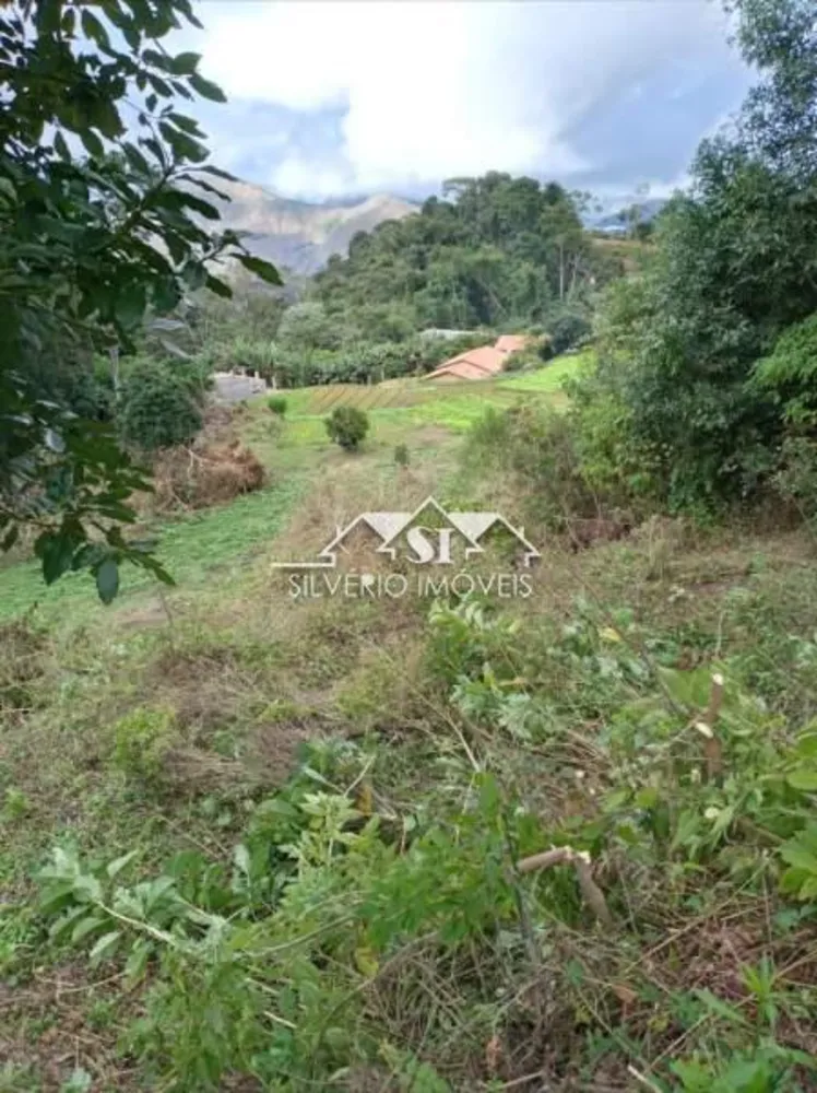 Terreno, 2 hectares - Foto 3
