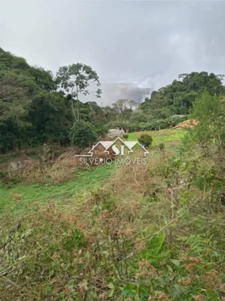 Terreno, 2 hectares - Foto 4