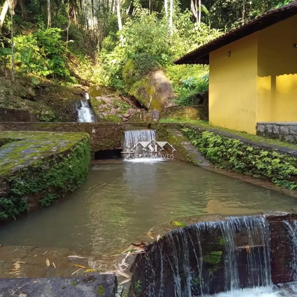Fazenda, 106 hectares - Foto 7