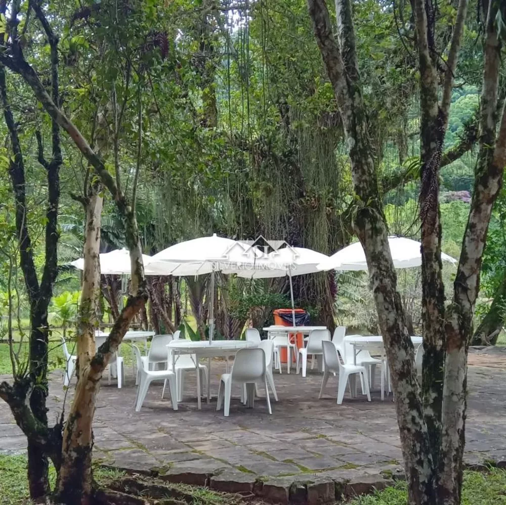 Fazenda, 106 hectares - Foto 13