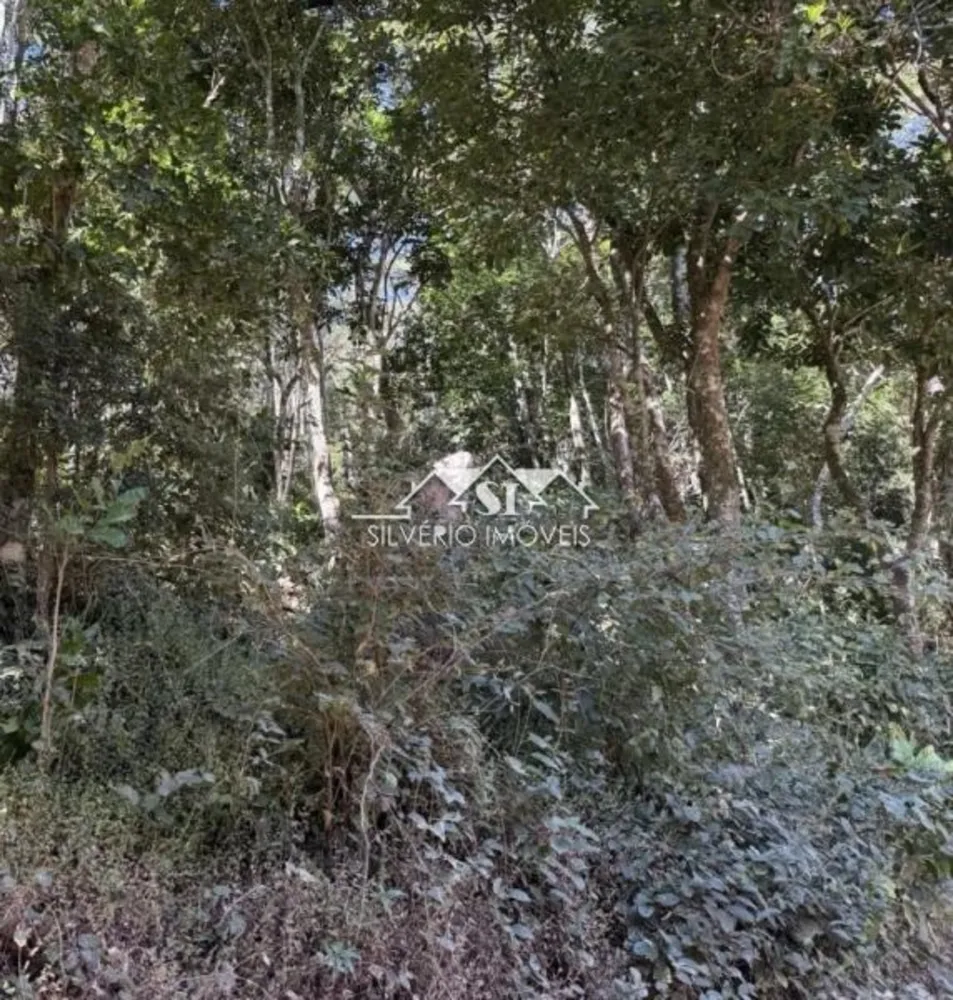 Terreno, 2000 m² - Foto 2