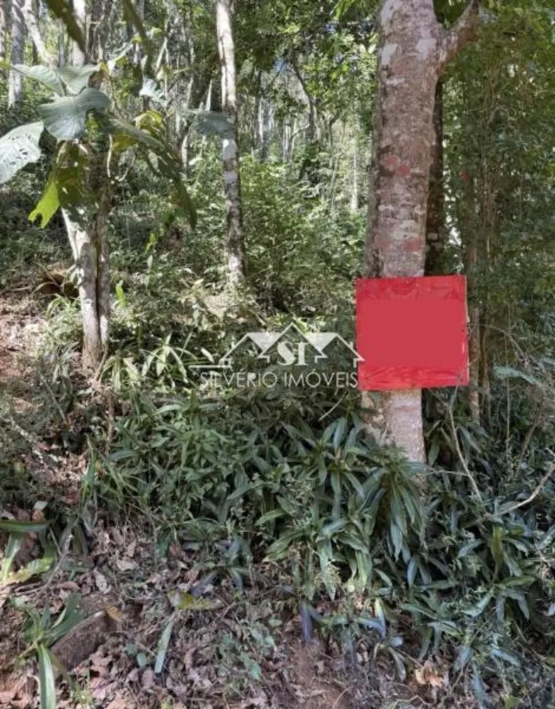 Terreno, 2000 m² - Foto 4