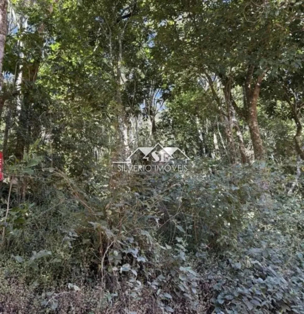 Terreno, 2000 m² - Foto 5