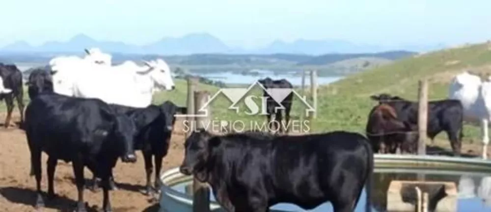 Fazenda-Sítio-Chácara, 1200 hectares - Foto 8