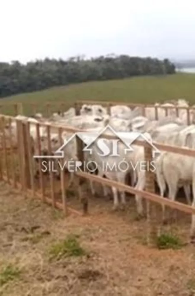 Fazenda-Sítio-Chácara, 1200 hectares - Foto 11