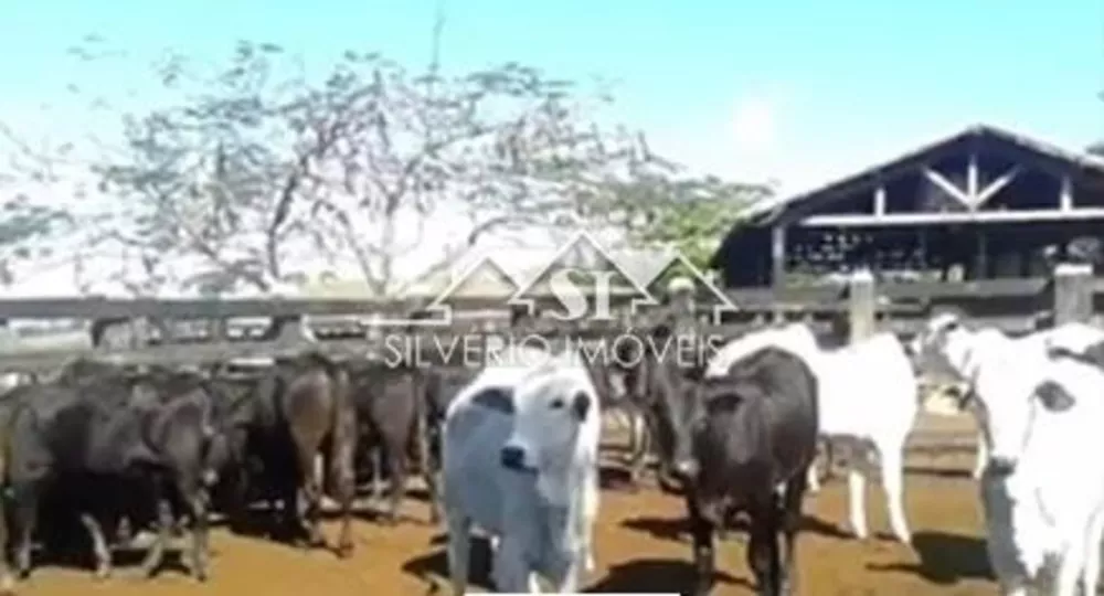 Fazenda-Sítio-Chácara, 1200 hectares - Foto 7