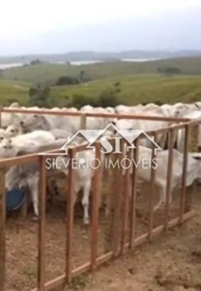 Fazenda-Sítio-Chácara, 1200 hectares - Foto 12