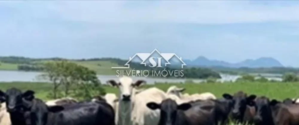 Fazenda-Sítio-Chácara, 1200 hectares - Foto 14