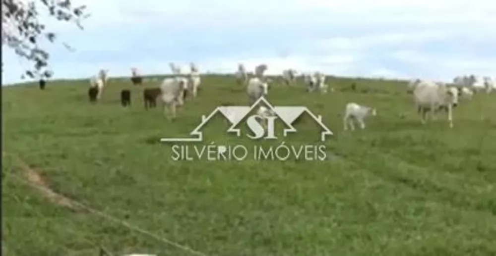 Fazenda-Sítio-Chácara, 1200 hectares - Foto 15