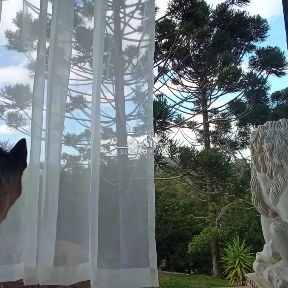 Sítio, 4 quartos, 3900 m² - Foto 2