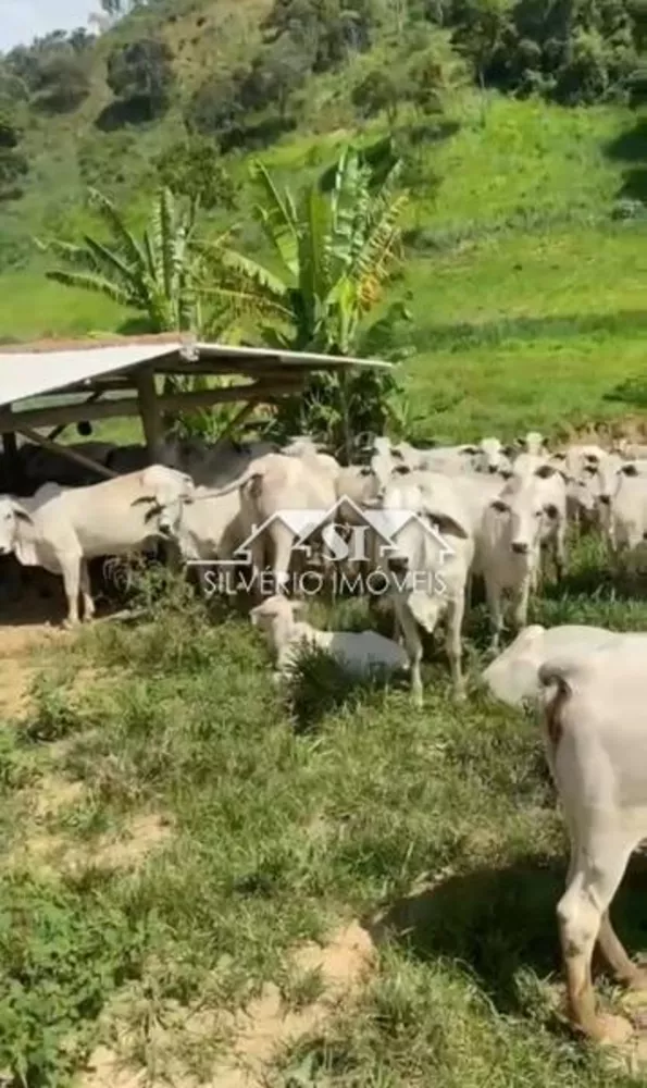 Fazenda, 152 hectares - Foto 2