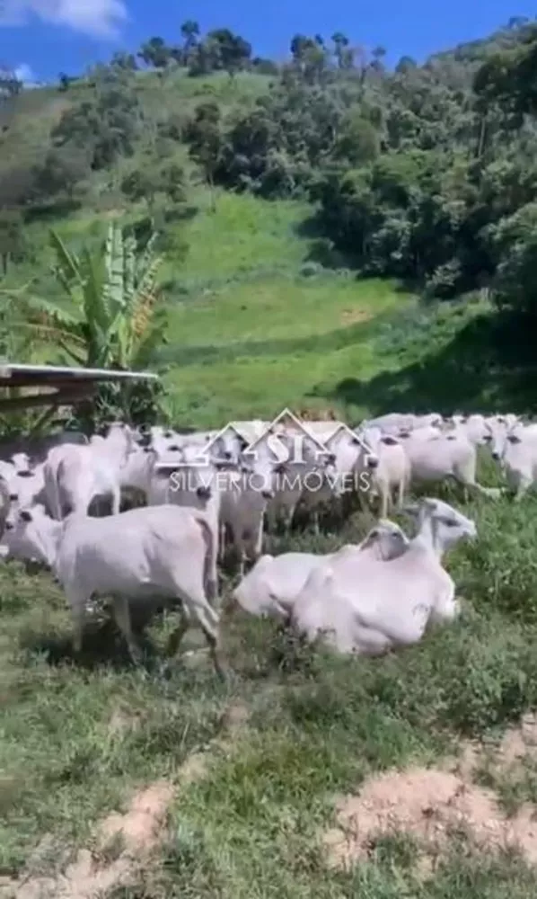 Fazenda, 152 hectares - Foto 1