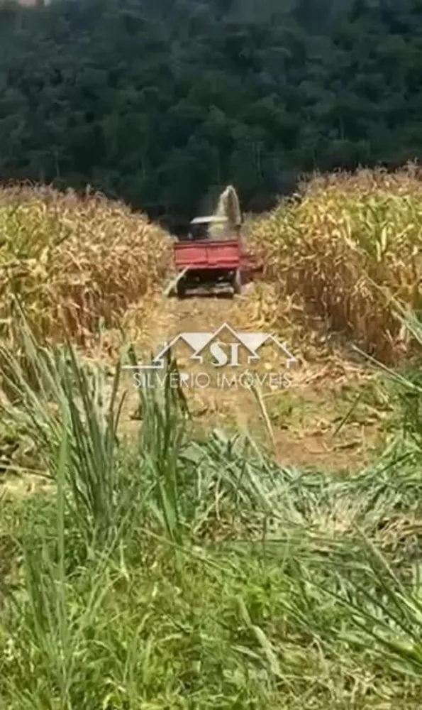 Fazenda, 152 hectares - Foto 5