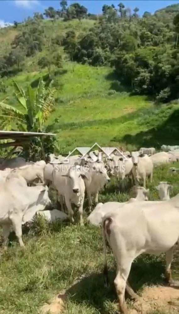 Fazenda, 152 hectares - Foto 4