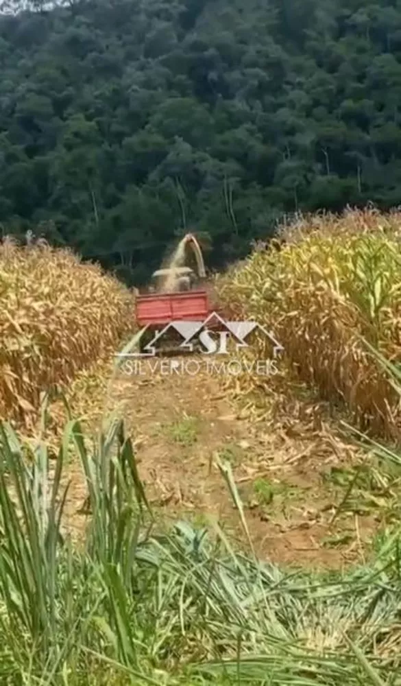 Fazenda, 152 hectares - Foto 12