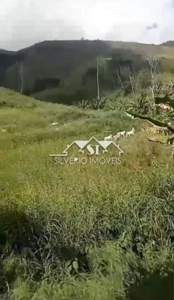 Fazenda, 152 hectares - Foto 8