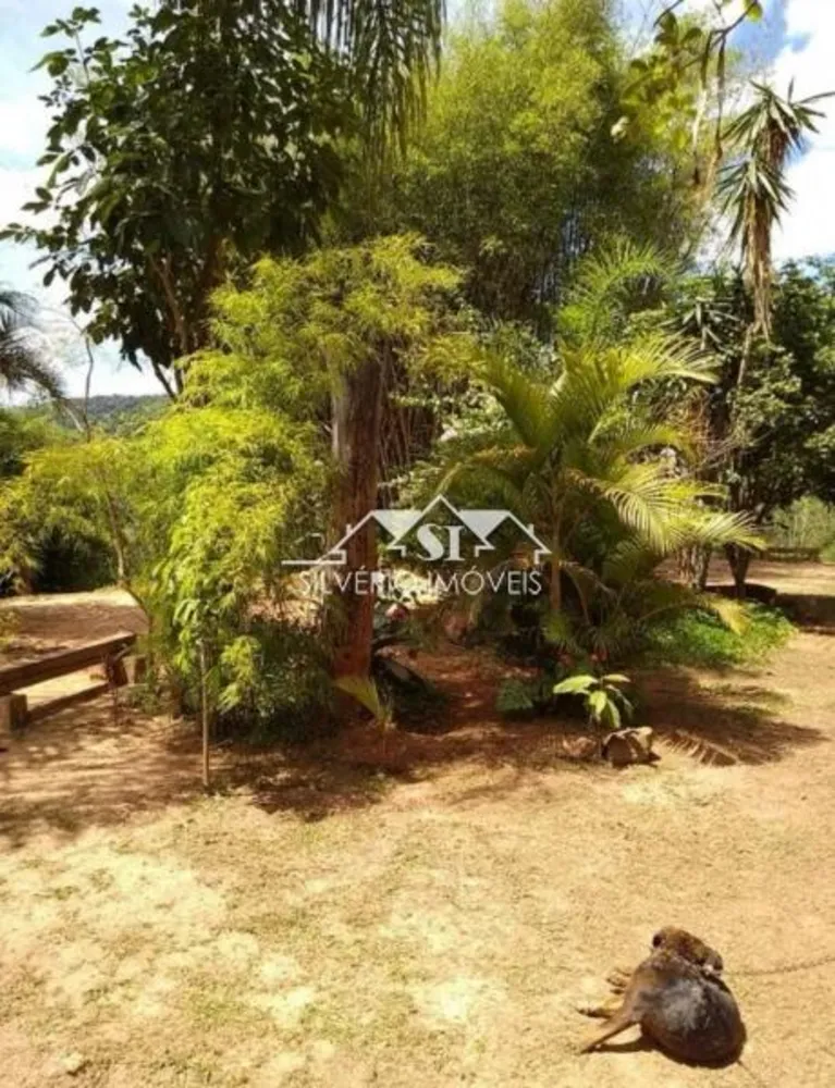 Sítio, 2 quartos, 2 hectares - Foto 4