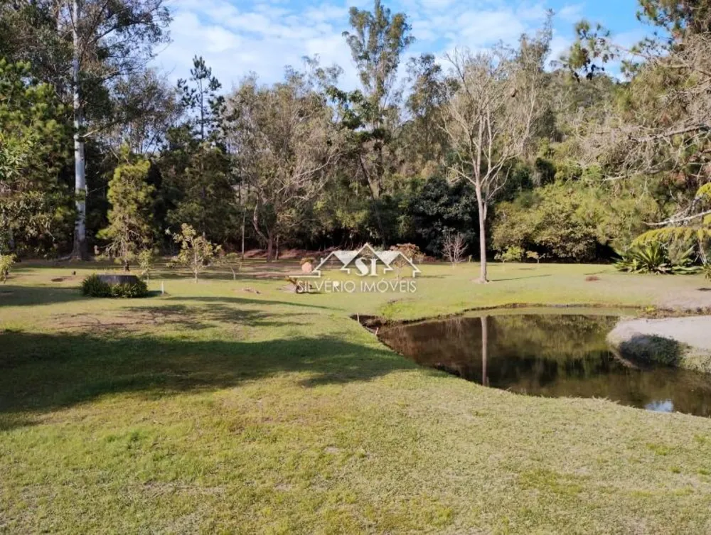 Sítio, 3 quartos, 4000 m² - Foto 3