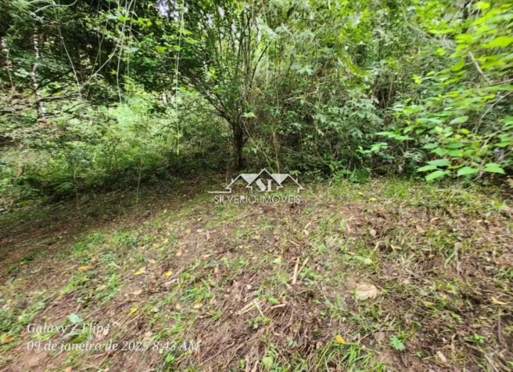 Terreno, 8 hectares - Foto 3