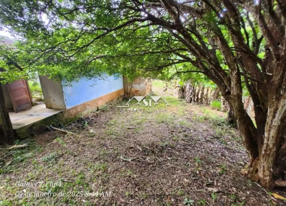 Terreno, 8 hectares - Foto 6