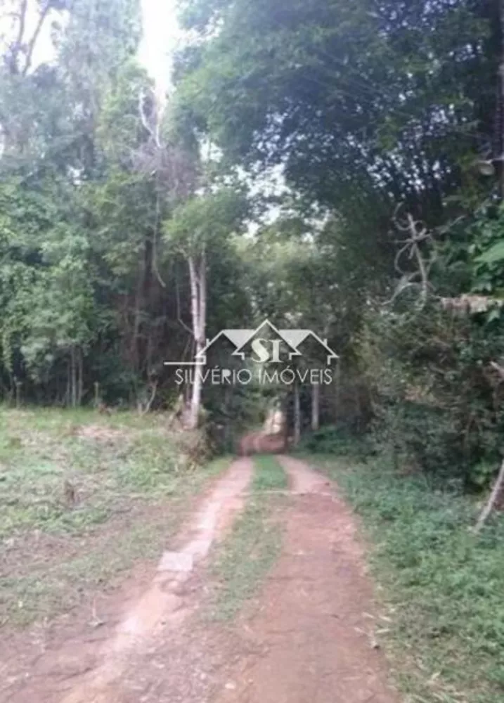Terreno, 10 hectares - Foto 4