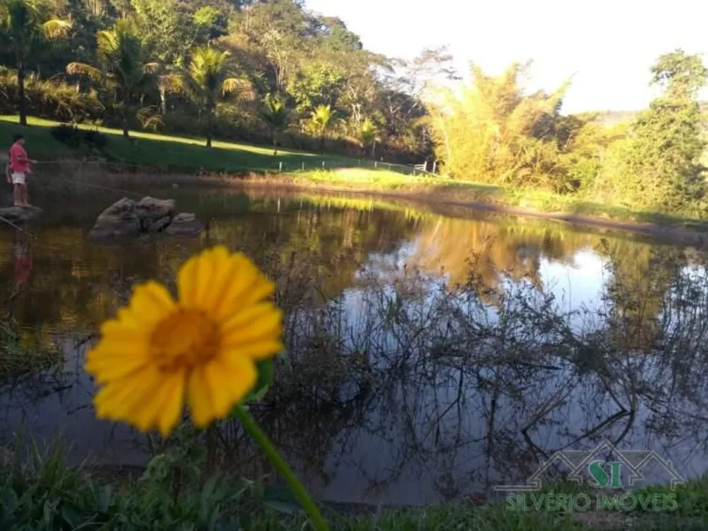 Fazenda, 22 hectares - Foto 4