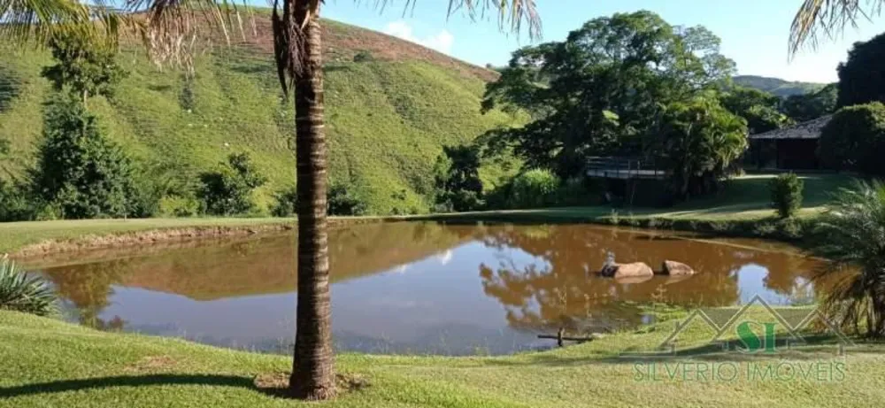 Fazenda, 22 hectares - Foto 12
