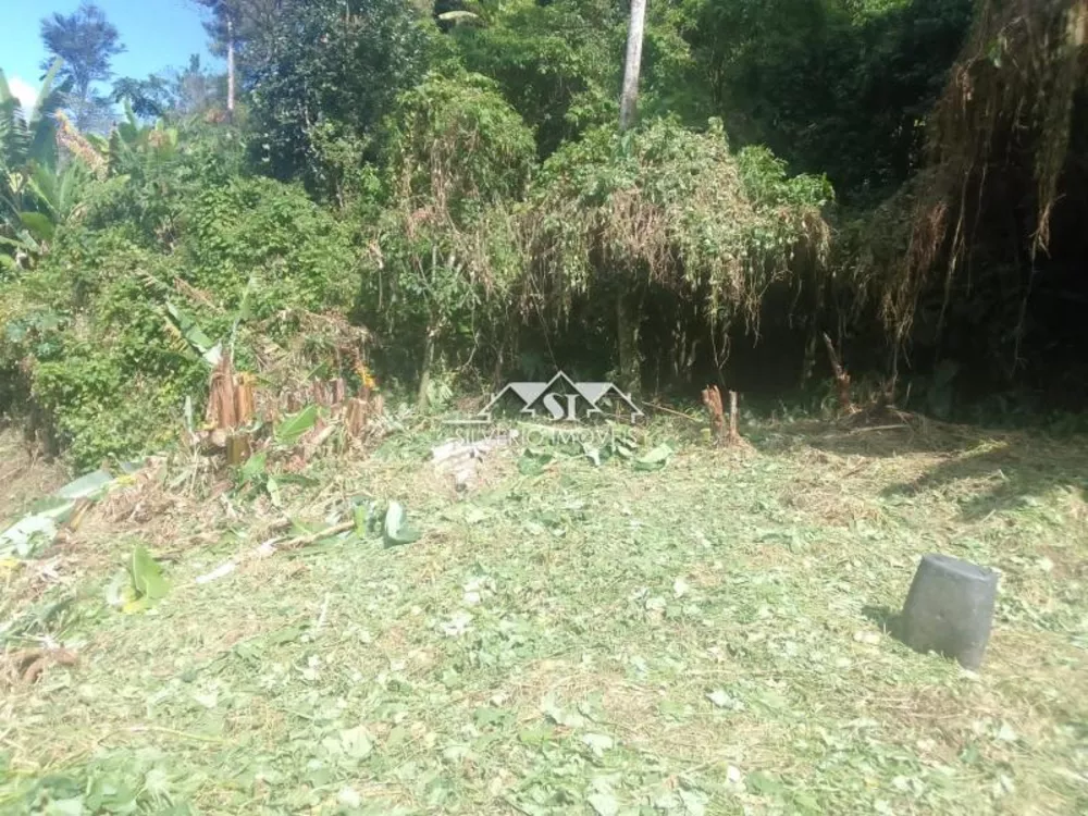 Terreno, 1000 m² - Foto 2