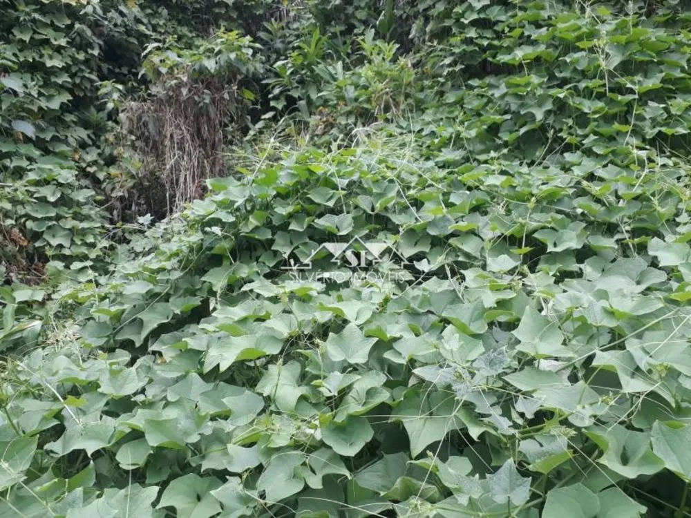 Terreno, 1000 m² - Foto 11