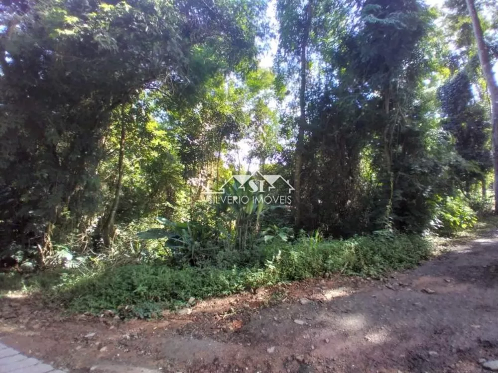 Terreno, 3260 m² - Foto 3