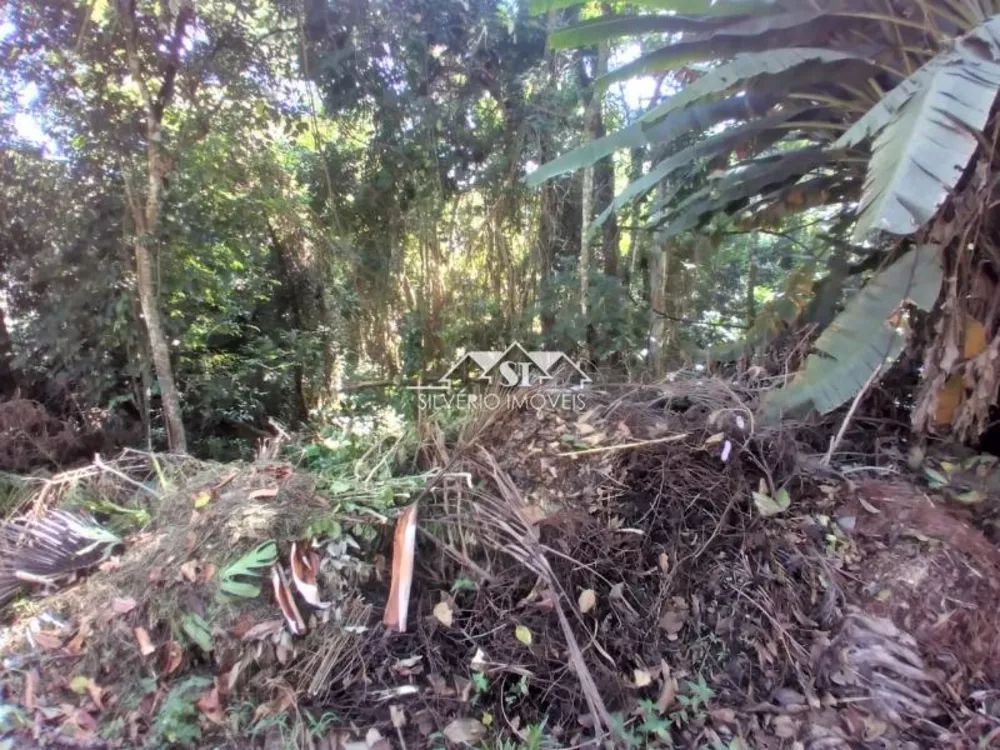 Terreno, 3260 m² - Foto 4