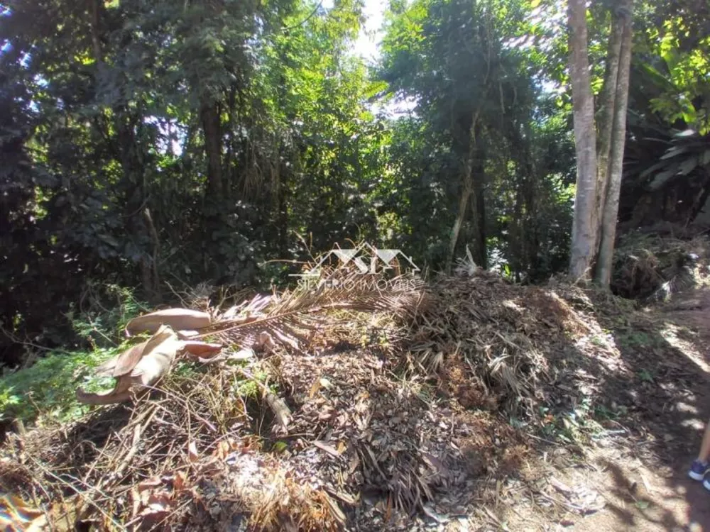 Terreno, 3260 m² - Foto 2