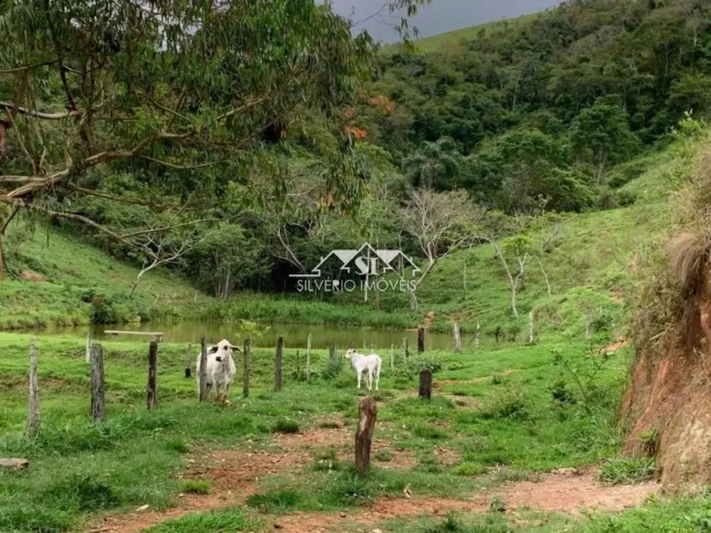 Fazenda, 55 hectares - Foto 16