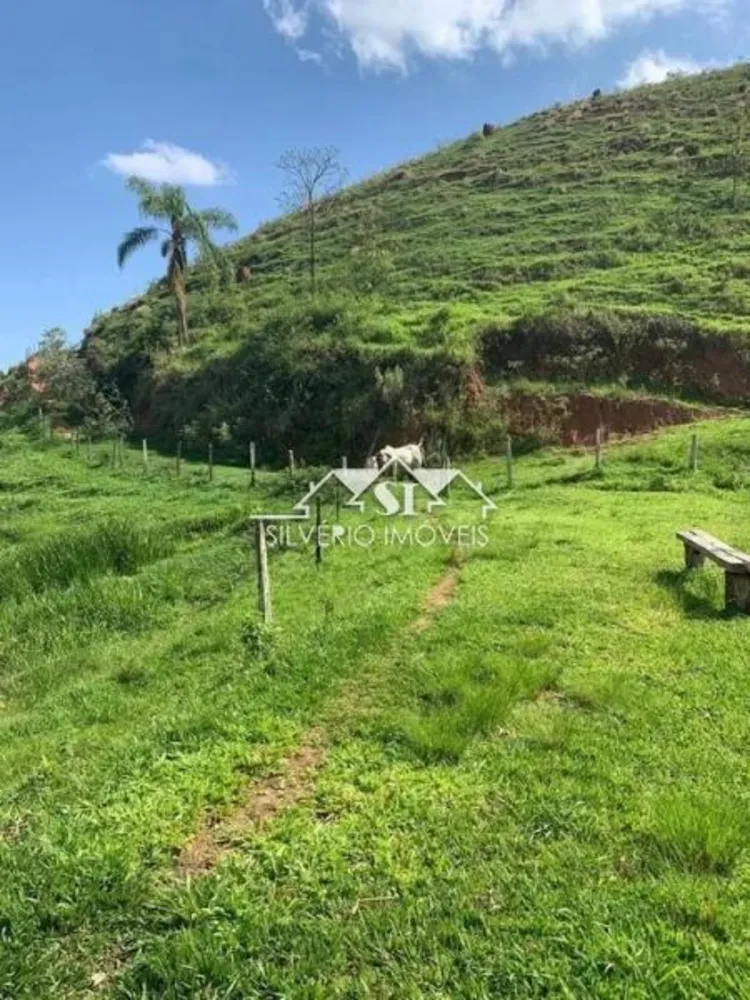 Fazenda, 55 hectares - Foto 4