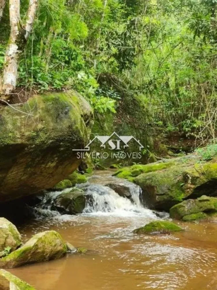 Fazenda, 55 hectares - Foto 6